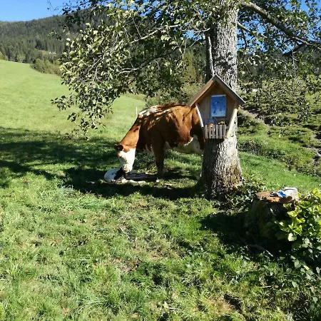 Daire Buchauhof Maria Alm am Steinernen Meer