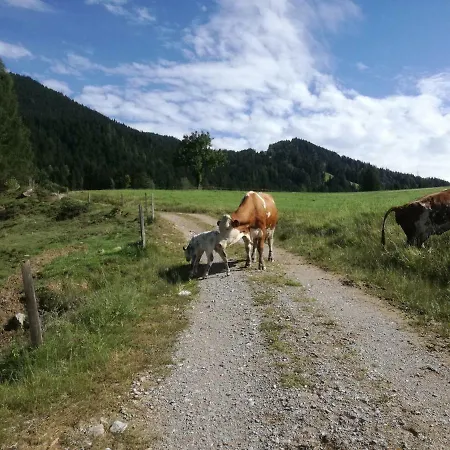 Buchauhof * Maria Alm am Steinernen Meer